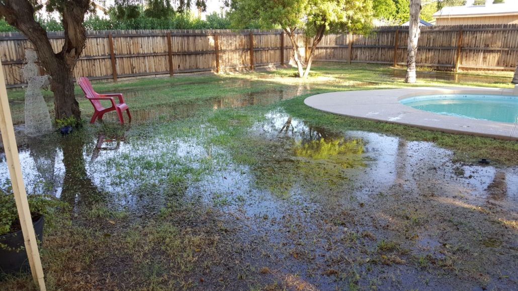 Arcadia Flood Irrigation