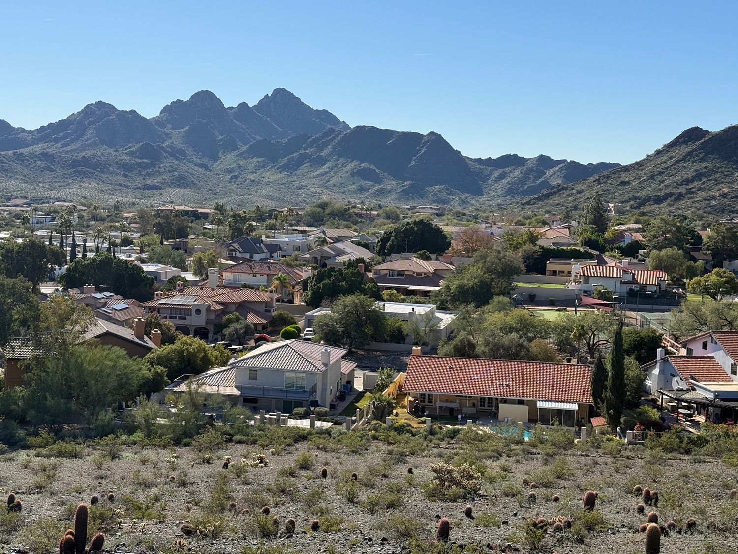 Sheaborhood 85028 with Piestewa Peak in background